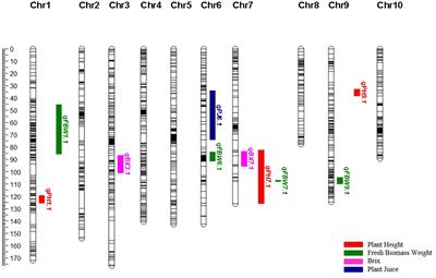 Construction of a high-density genetic linkage map and QTL mapping for bioenergy-related traits in sweet sorghum [Sorghum bicolor (L.) Moench]